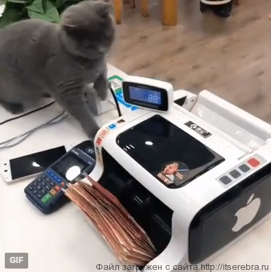 Помощник года