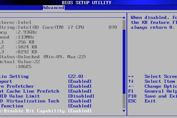 Bios Bios